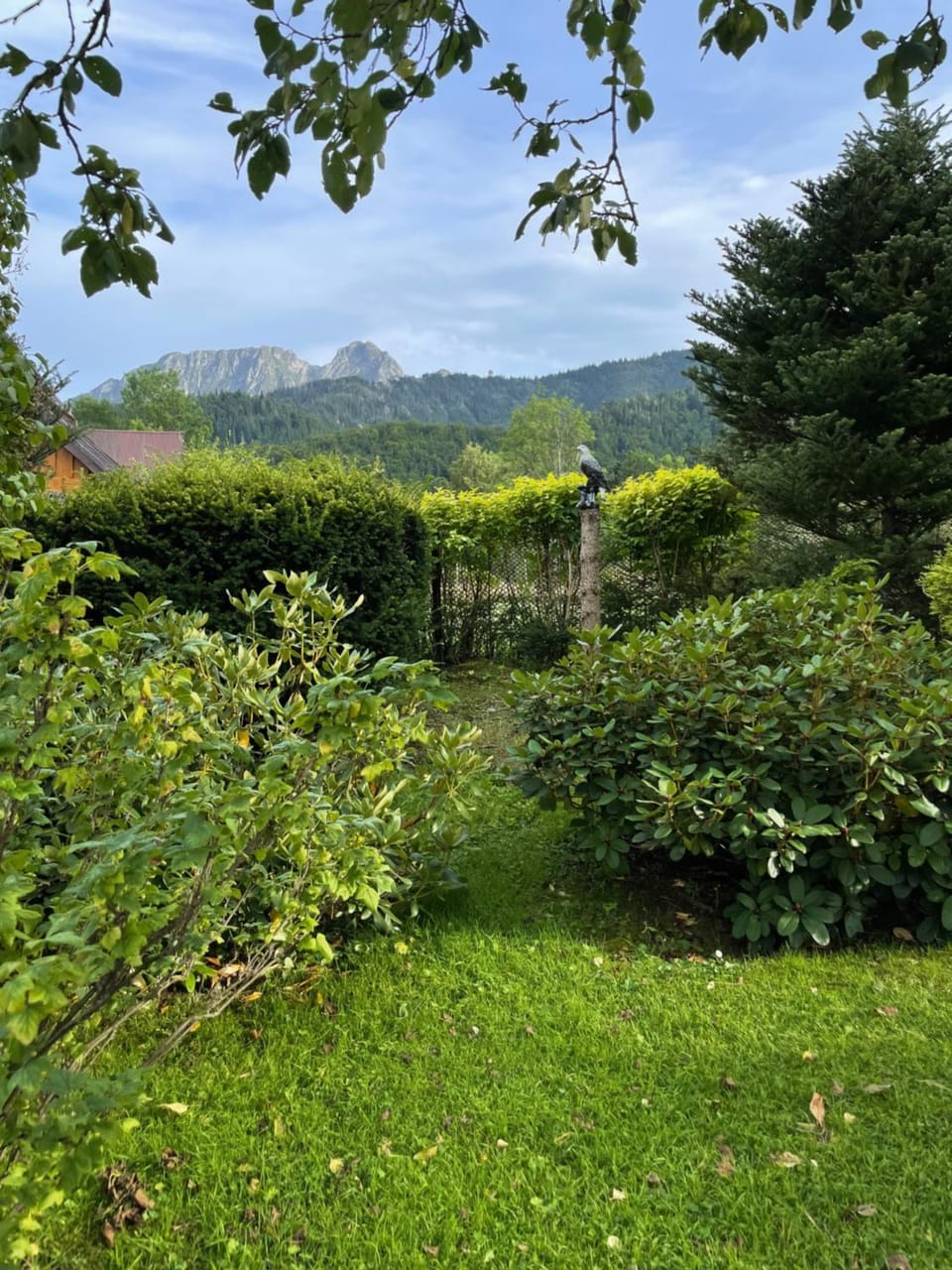 Day, Natural landscape, Garden, Garden view, Mountain view