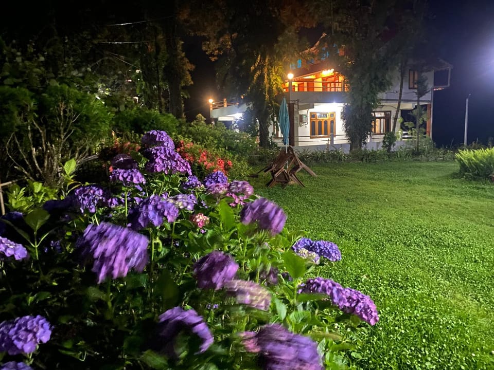 Garden view