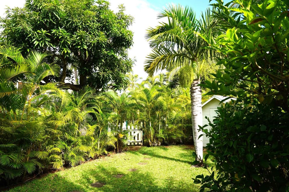 Day, Natural landscape, Garden