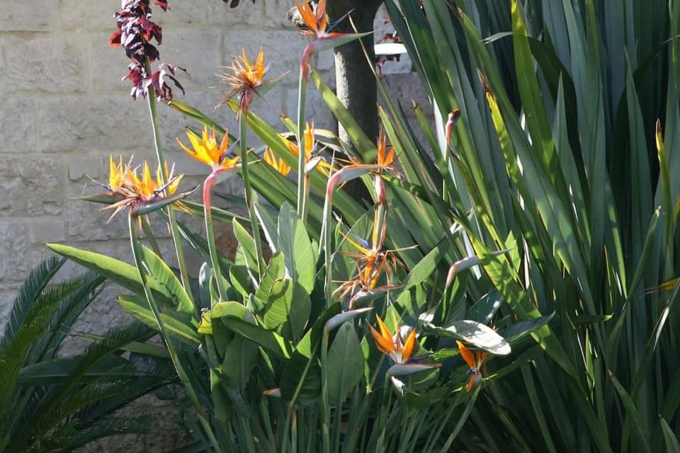 Spring, Day