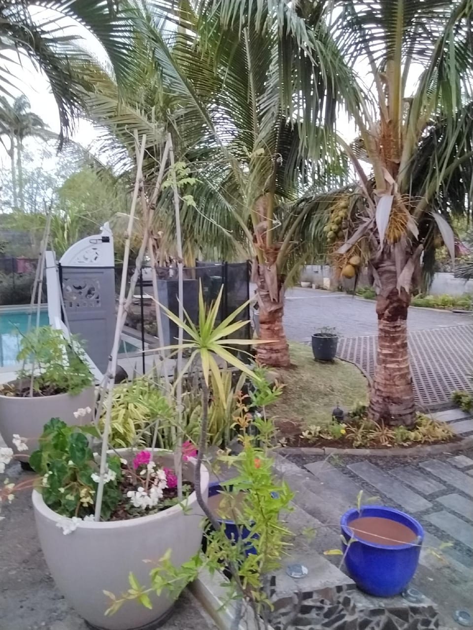 Villa la Canne Mapou No10 1 chambre House in Réunion
