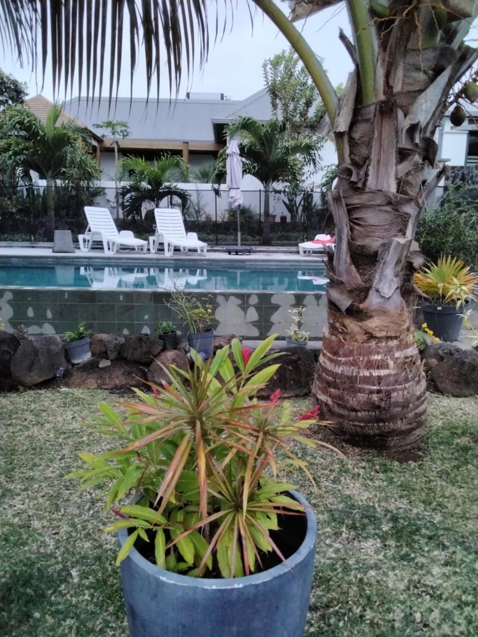 Villa la Canne Mapou No10 1 chambre House in Réunion