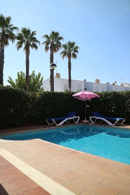 Day, Pool view, Swimming pool, Swimming pool, sunbed