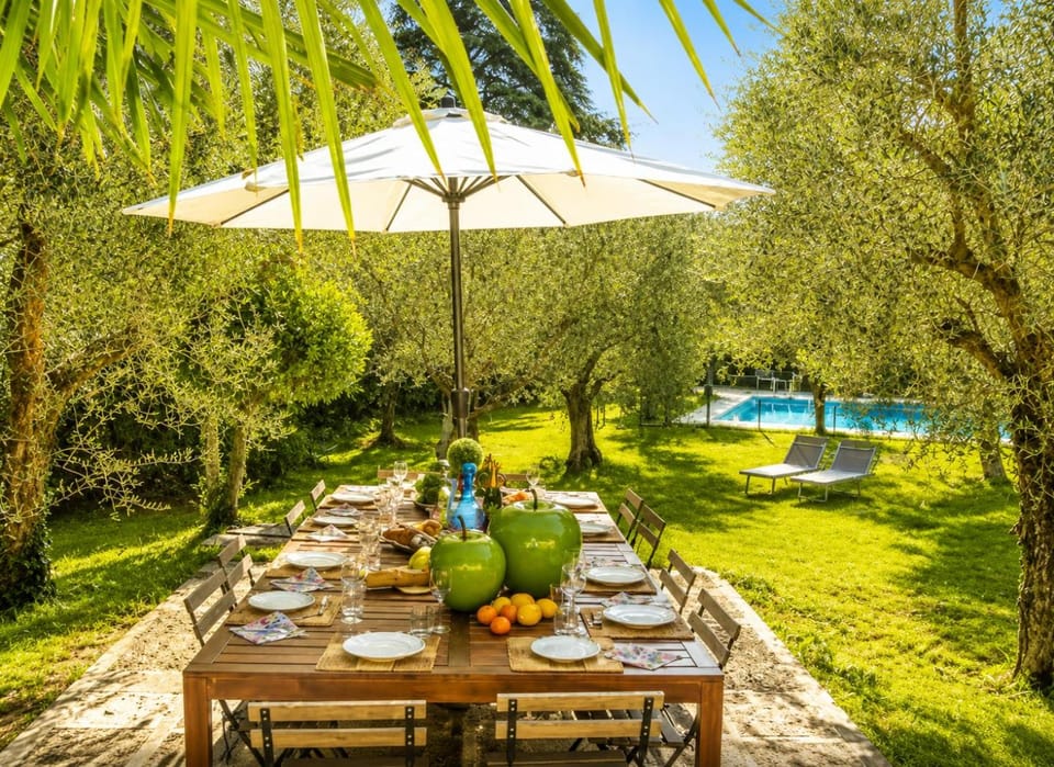 Patio, Dining area