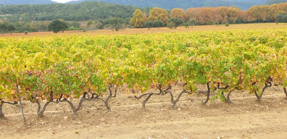 chambre indépendante avec jardin privatif Bed and Breakfast in La Londe-les-Maures