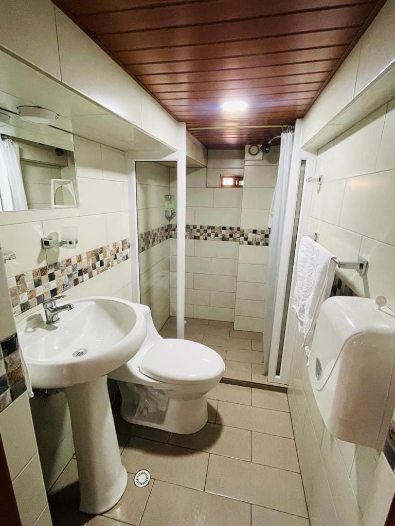 Shower, Toilet, Bathroom, Bath, towels