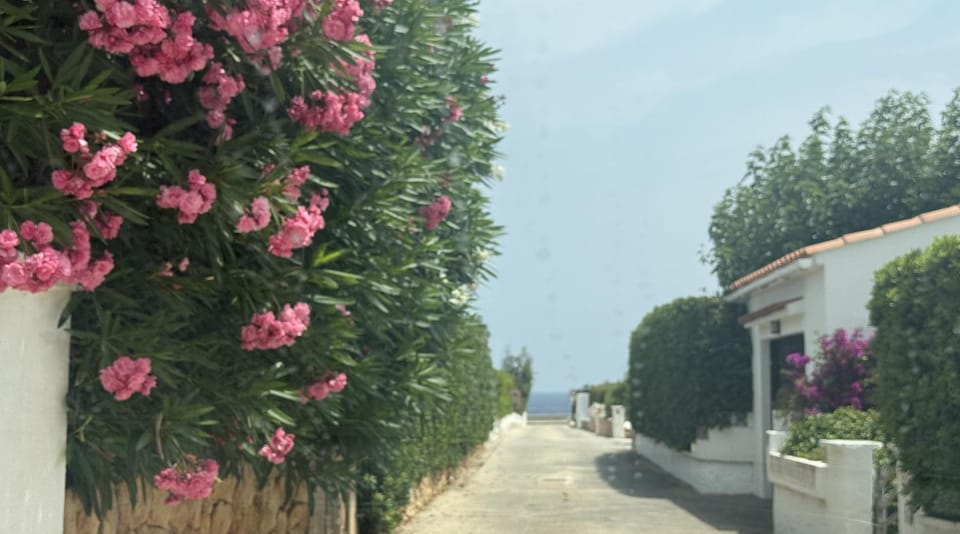 Neighbourhood, Sea view, Street view, Quiet street view