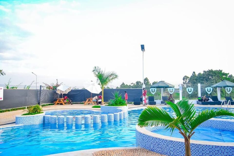 Day, Pool view, Swimming pool, sunbed