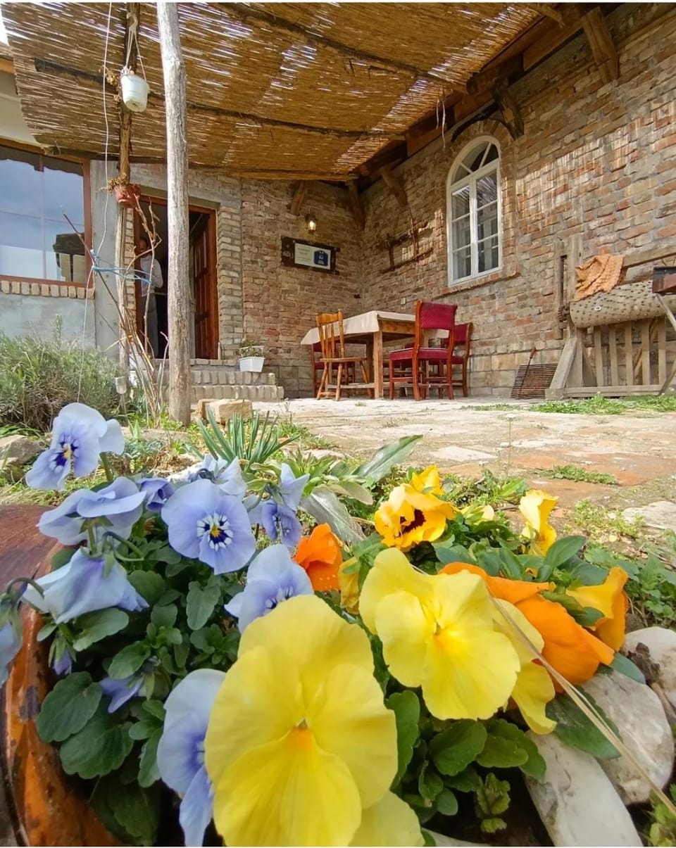 Tetrebov salas in the peaceful fields House in Novi Sad