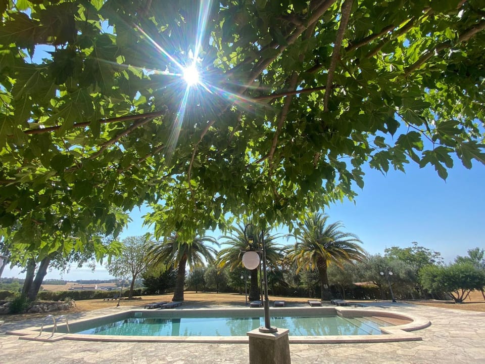 Day, Garden, Garden view, Pool view, Swimming pool, Swimming pool, sunbed