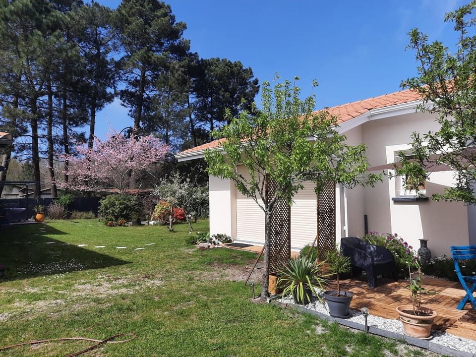 Garden view