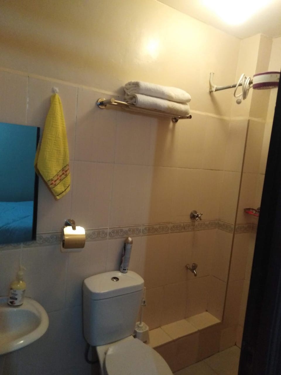 Shower, Bathroom, towels
