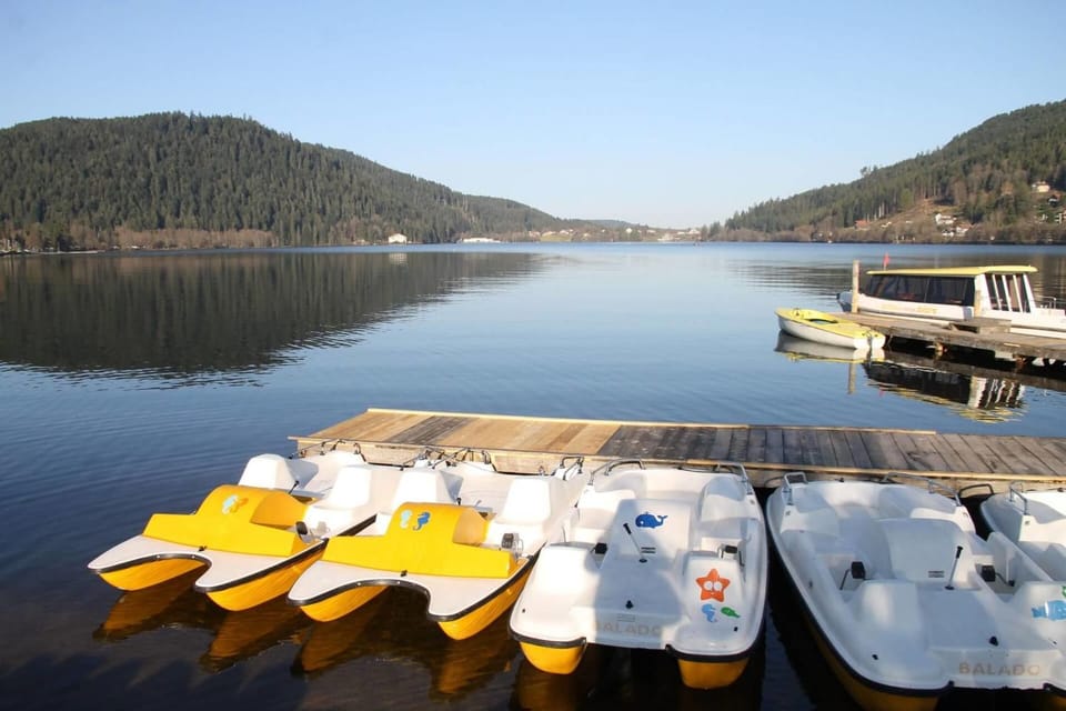Warm 29m with balcony and lake view Apartment in Gérardmer