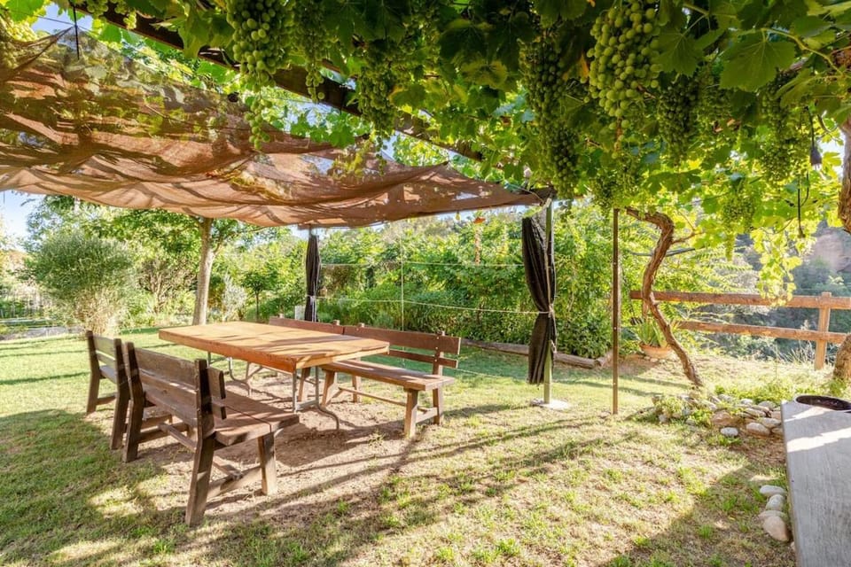 Natural landscape, Garden, Dining area, Garden view