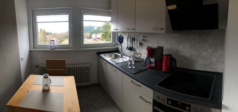 Kitchen or kitchenette, Dining area, stove