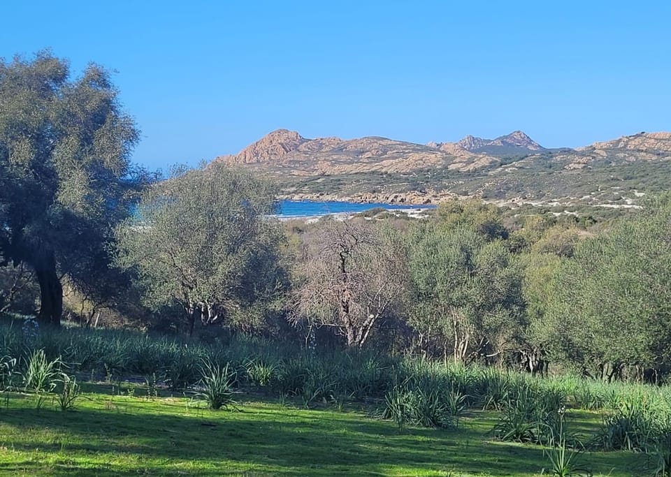 Charmant petit logement à 3 kms de la plage Apartment in Belgodère