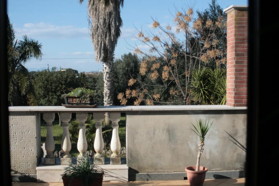 Garden view, Inner courtyard view