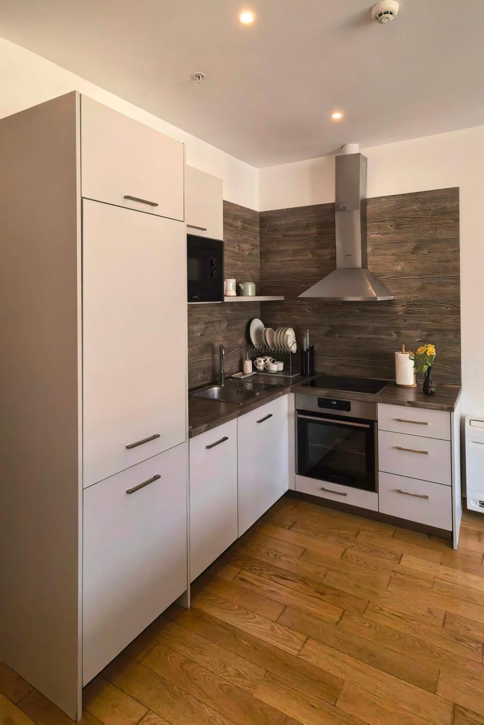 Kitchen or kitchenette, dishwasher, oven, stove