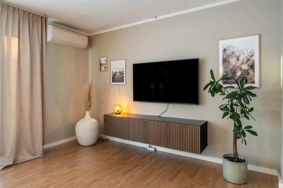 TV and multimedia, Evening entertainment