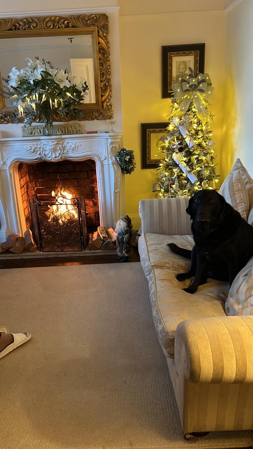 Albany house Harborne Bed and Breakfast in Birmingham