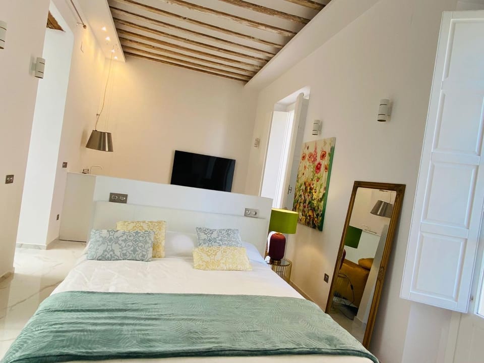 inncadizcasa Señorial de Rivadavia Apartment in Cadiz