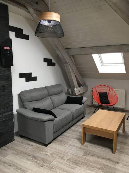 Loft avec jardin Apartment in Vosges