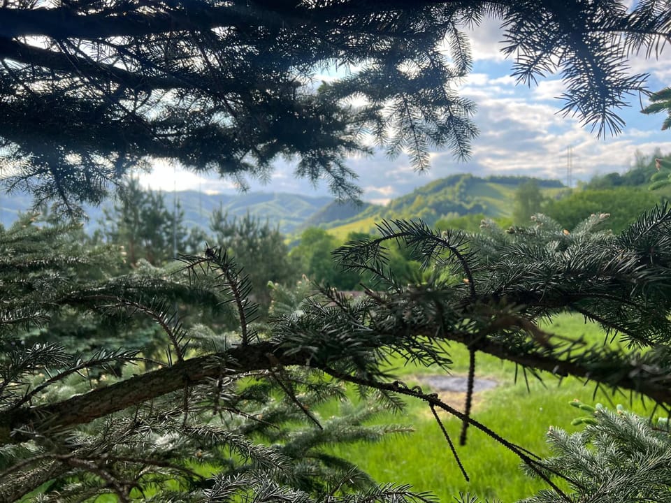 Natural landscape, Mountain view