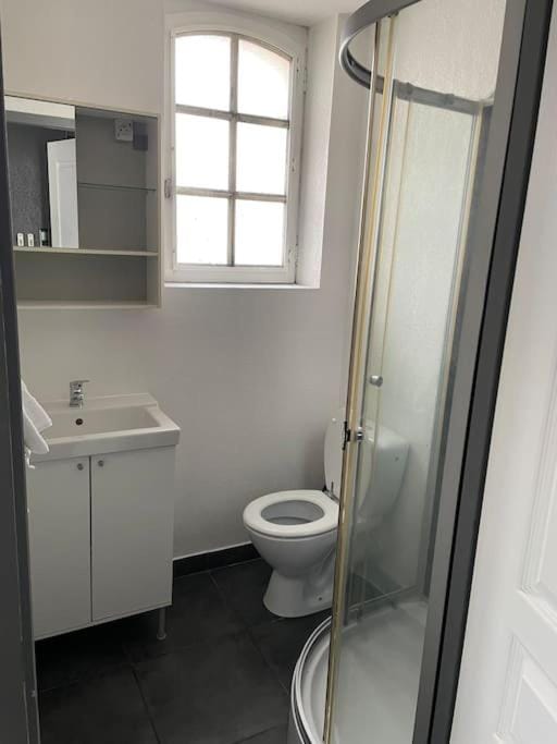 Studio2 proche fac climatisé Apartment in Albi