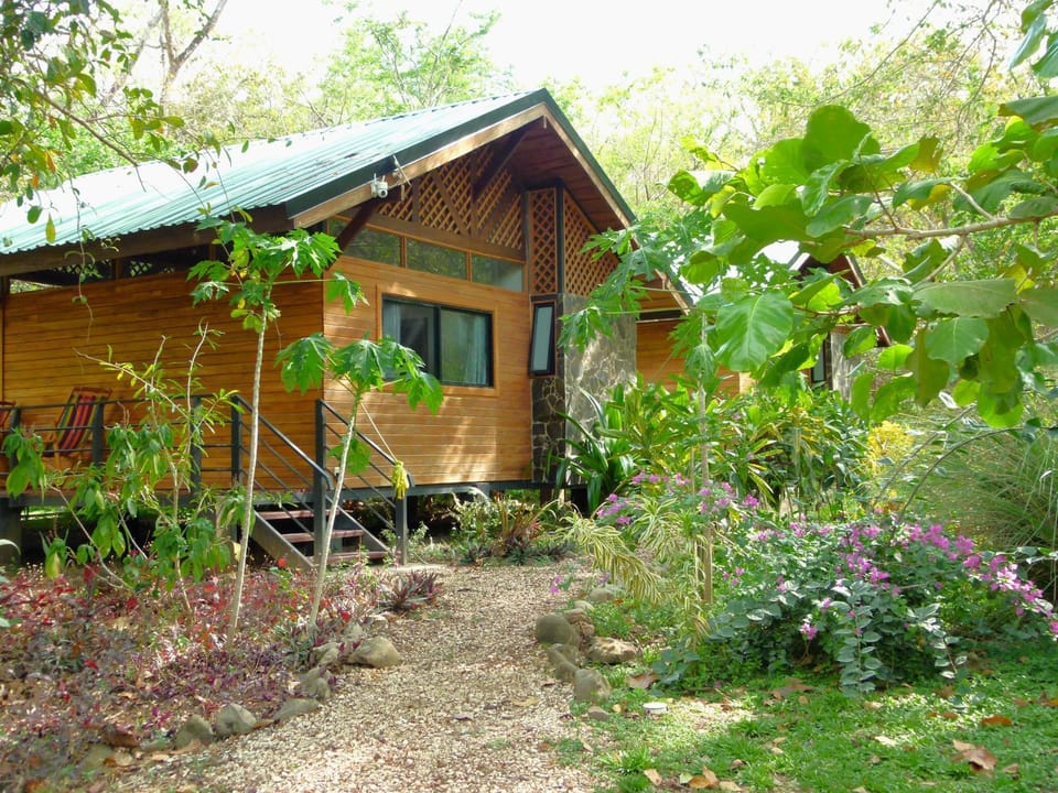 Property building, Garden view