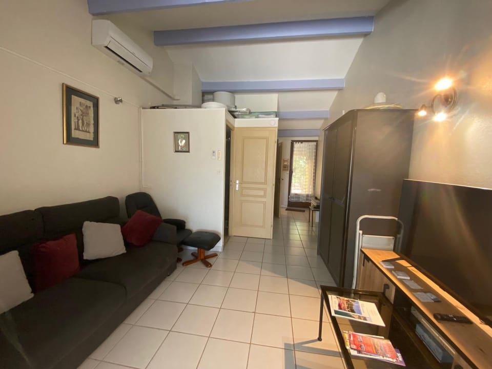 Charmant T2 avec terrasse - Animaux admis - FR-1-503-155 Apartment in Balaruc-les-Bains