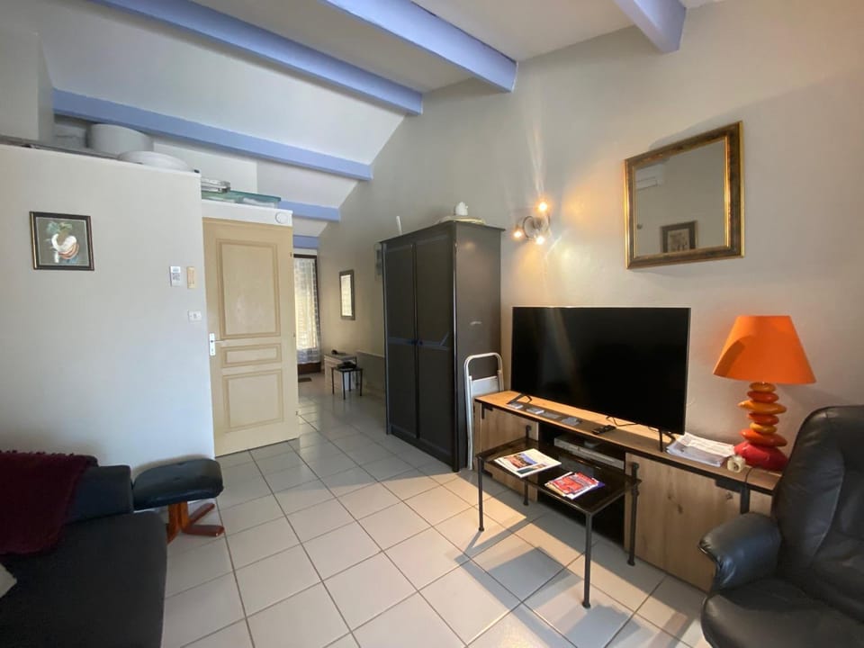 Charmant T2 avec terrasse - Animaux admis - FR-1-503-155 Apartment in Balaruc-les-Bains