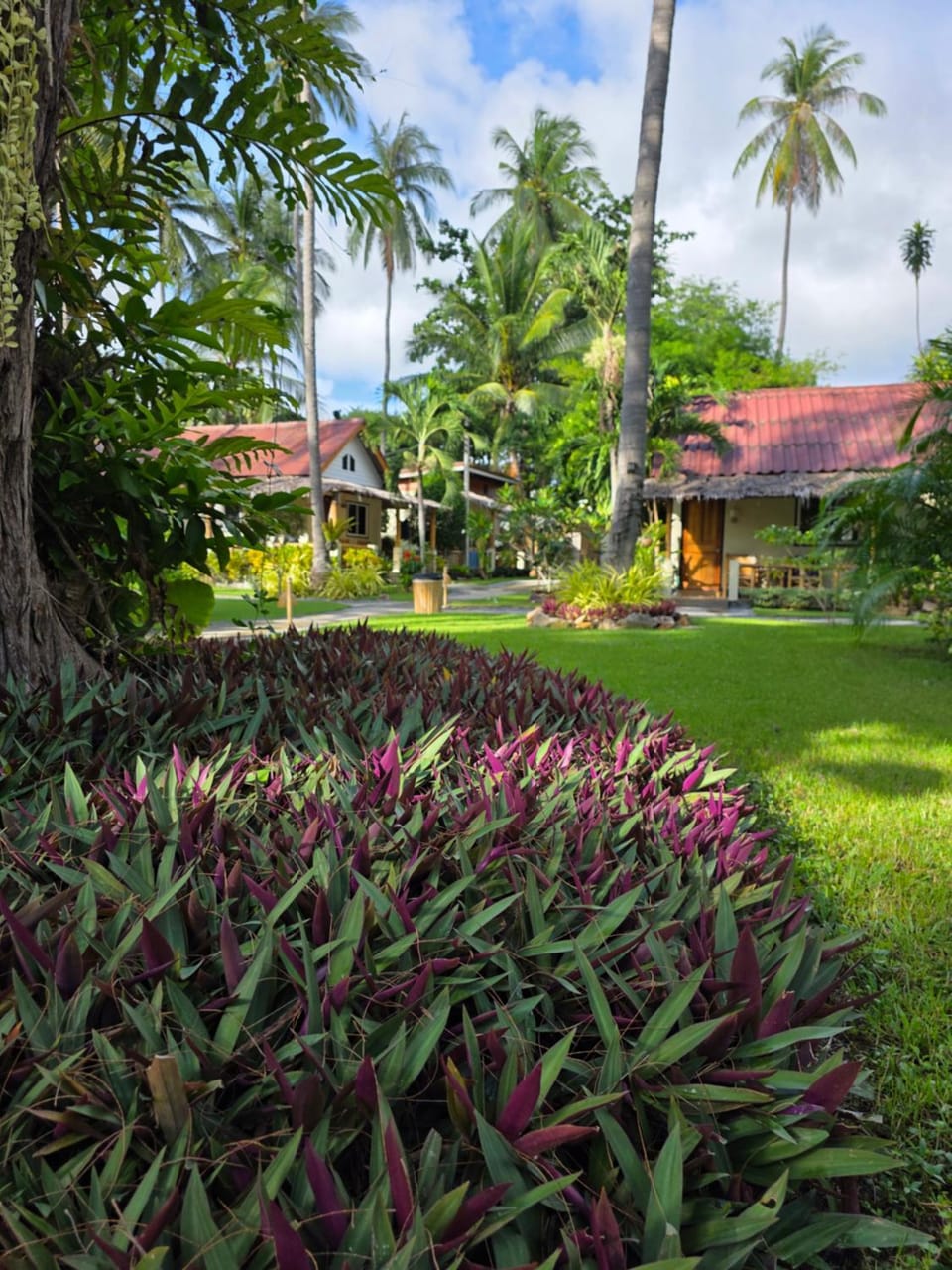 The Mellow Mango Resort in Sala Dan