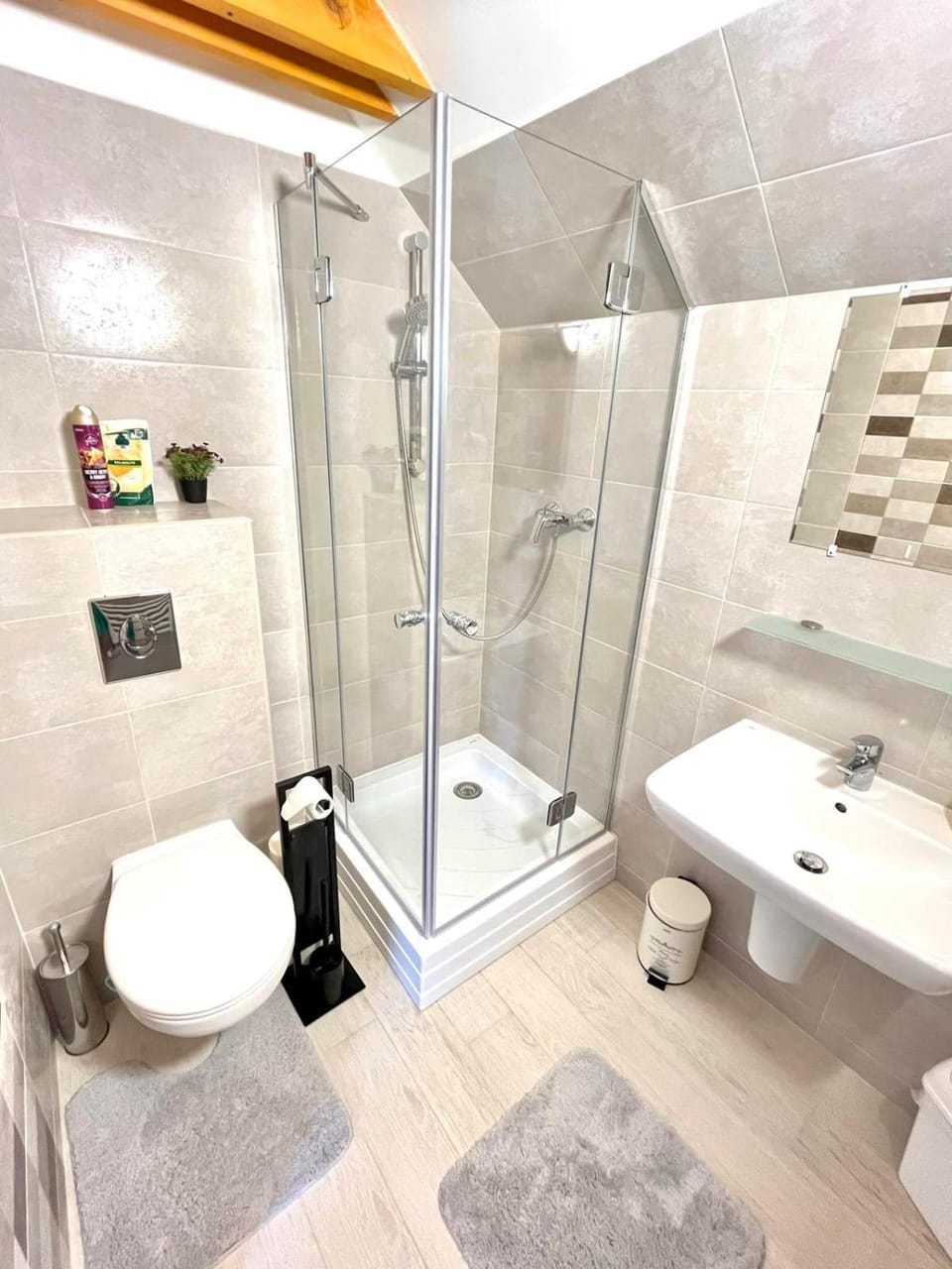 Shower, Toilet, towels