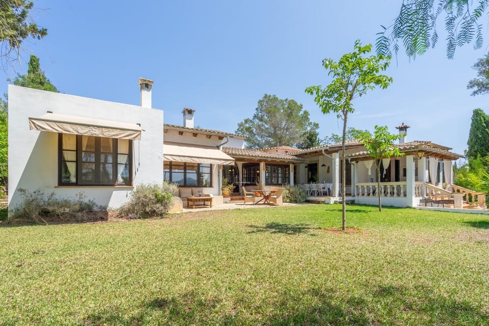 Patio, Garden, Garden view
