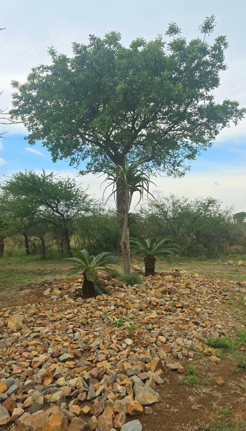Makhato Bush Lodge 48 House in South Africa