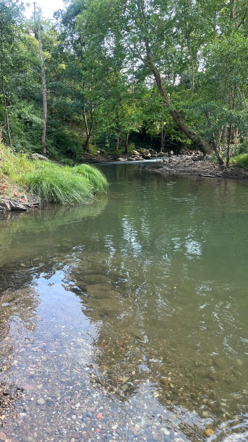Natural landscape, River view