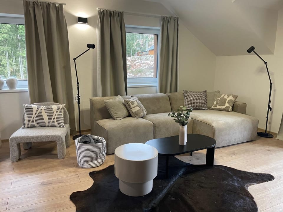 Living room, Photo of the whole room, Seating area