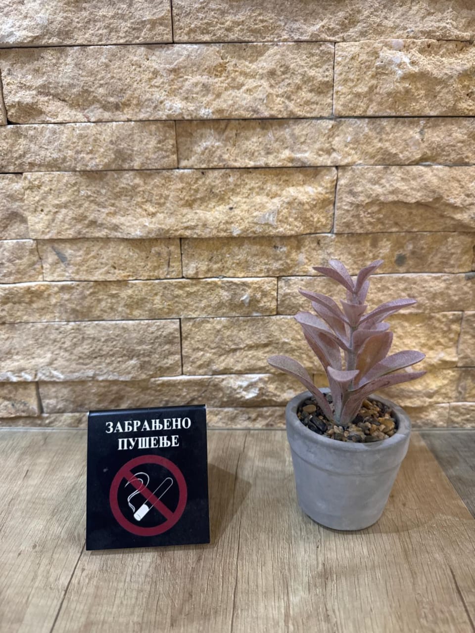 Vila Kopaonik Apartmani Milenkovic Apartment in Serbia