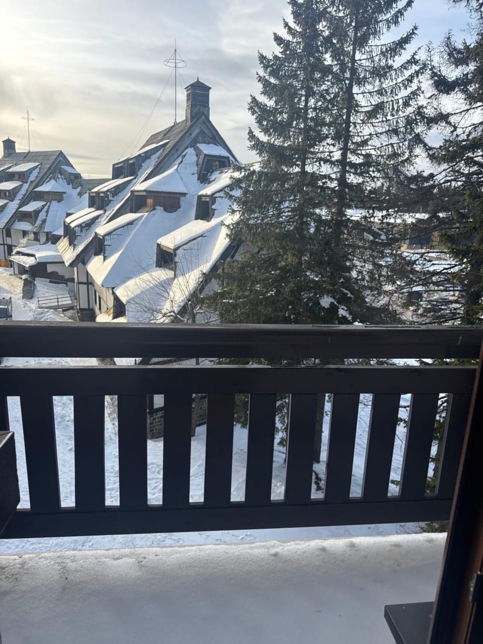 Vila Kopaonik Apartmani Milenkovic Apartment in Serbia