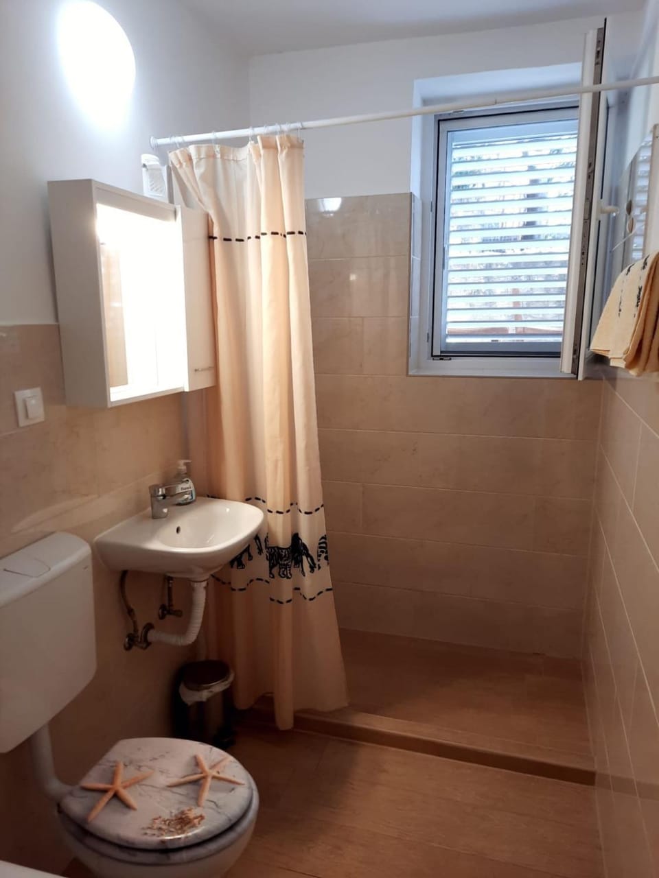 Shower, Bathroom