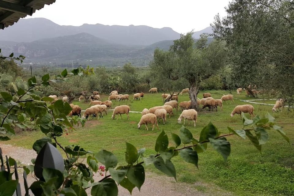 Villa Evelina House in Messenia