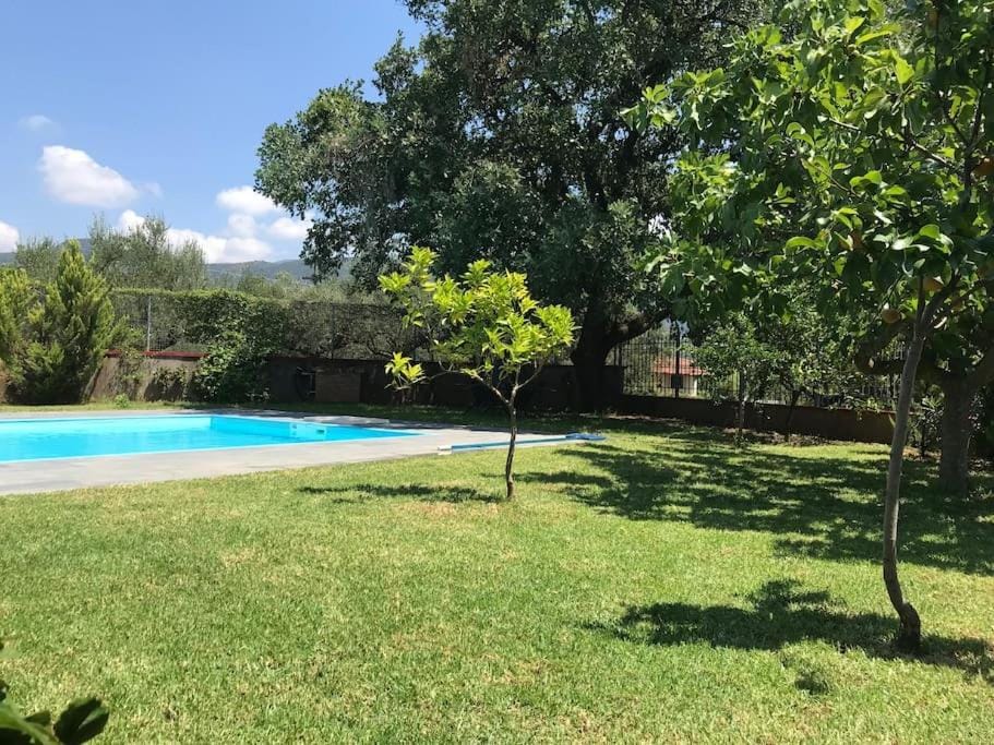 Villa Evelina House in Messenia