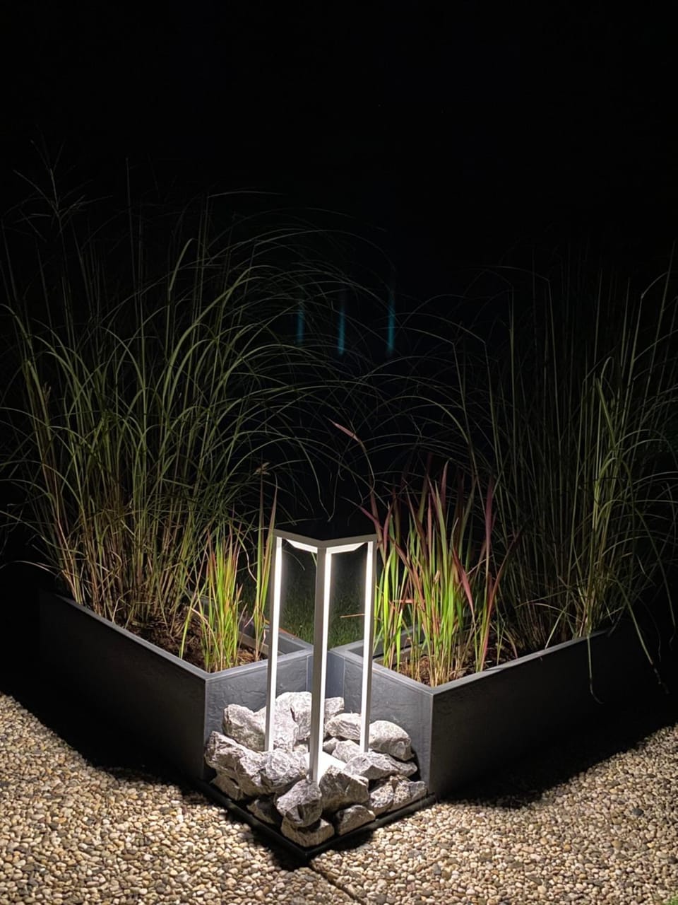 Night, Garden
