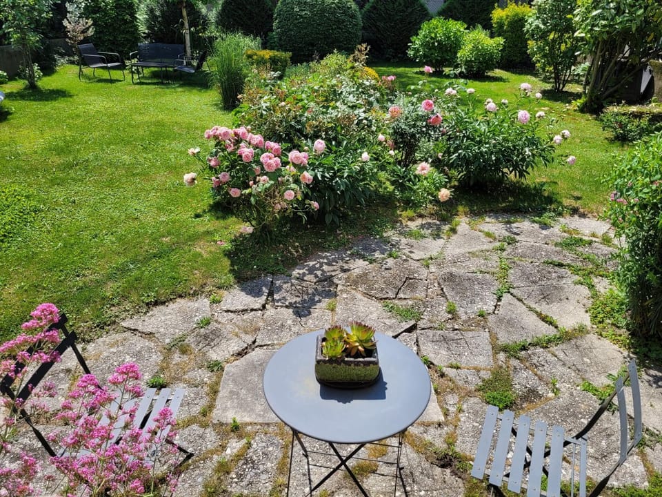 Garden, Garden view