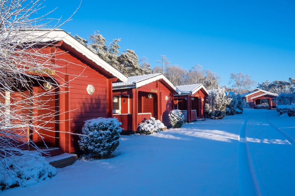 Property building, Winter