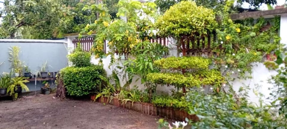Tiny Stay Apartment in Hikkaduwa