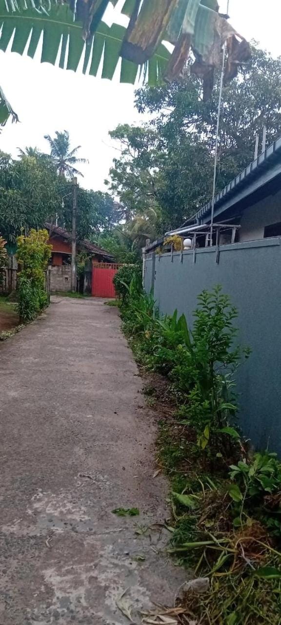 Tiny Stay Apartment in Hikkaduwa