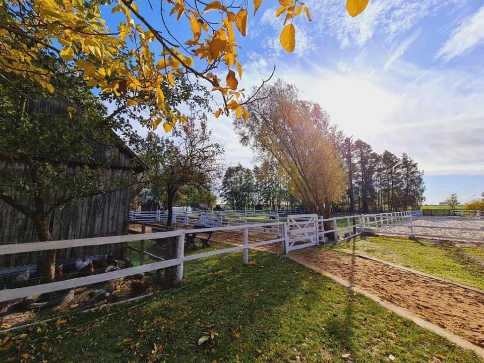 Ranczo Popowice Farm Stay in Greater Poland Voivodeship