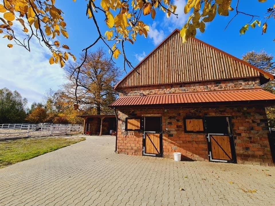 Ranczo Popowice Farm Stay in Greater Poland Voivodeship