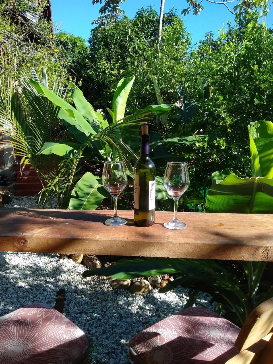 Garden, Balcony/Terrace